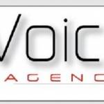 Digital Voice Inc Profile Picture