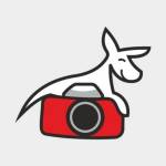 camera kangrooau Profile Picture