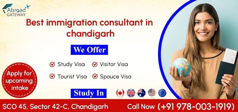 Study Visa and Immigration Consultants in chandigarh