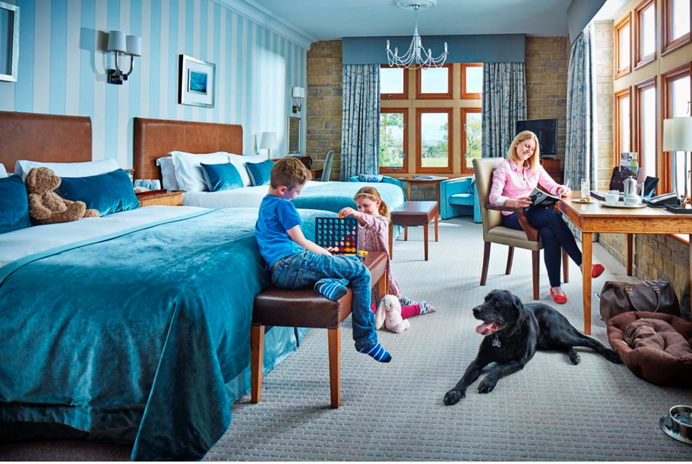 On the Road with Rover: Tips for Booking Pet-Friendly Hotel Rooms Near You