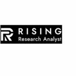 Rising Research Analyst Profile Picture
