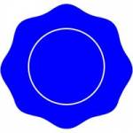 Blue Notary Profile Picture