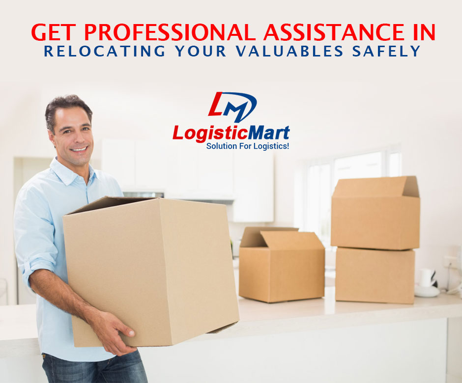 Maximize Efficiency: How Professional Movers Streamline Your Relocation in Delhi? | TechPlanet