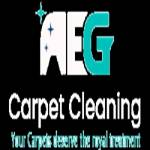 AEG Carpet Cleaning Profile Picture