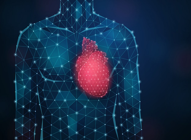 The Role of Angiogram in Detecting and Preventing Heart Disease | Maiyro