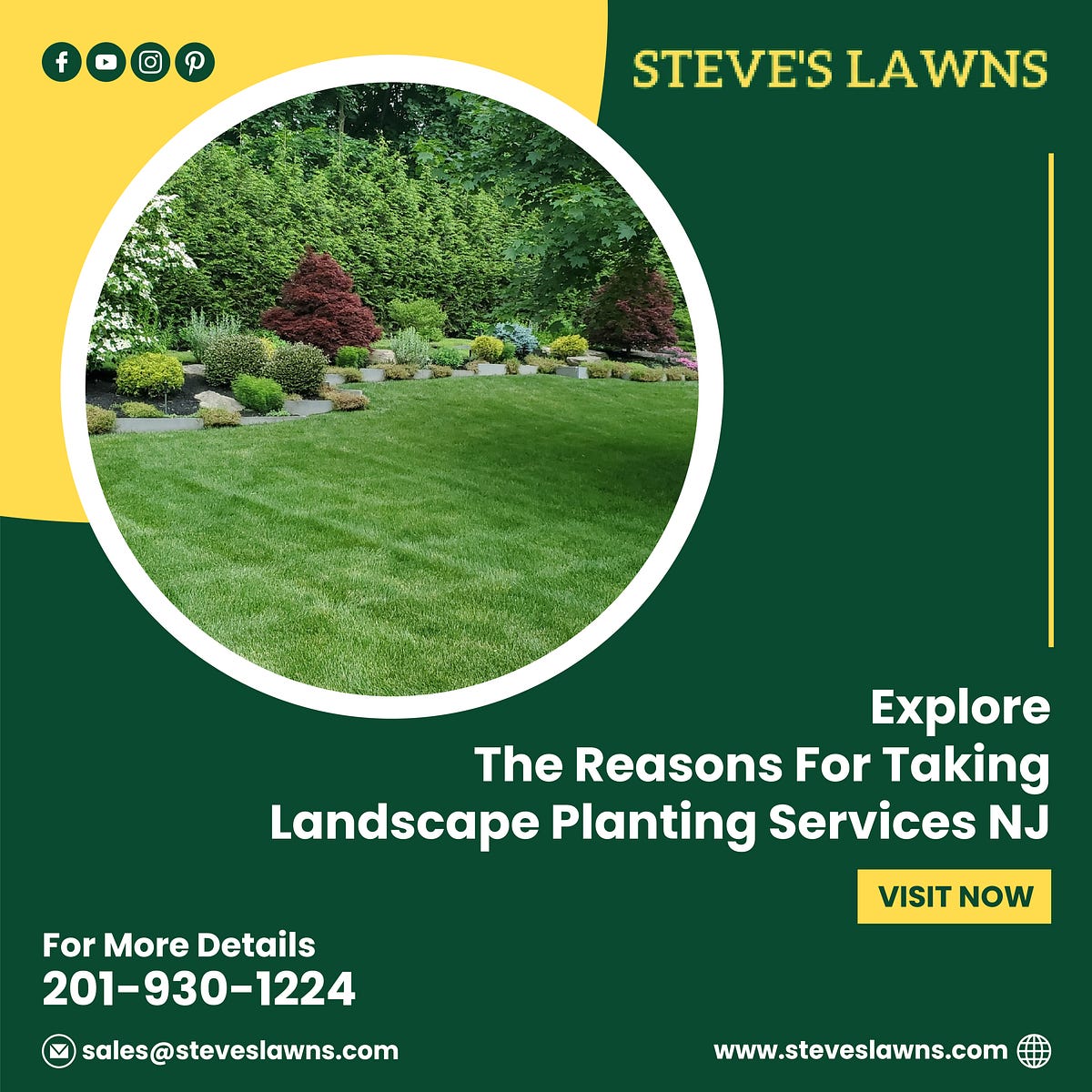 Explore The Reasons For Taking Landscape Planting Services NJ | by Steve's Lawns Inc | May, 2024 | Medium