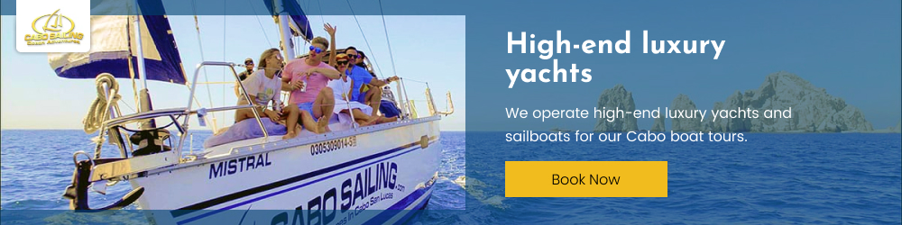 Pacificortez Sailing SA de CV Cover Image