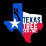 texas tree Profile Picture