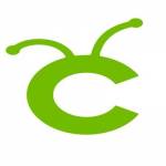 Cricut Design App Profile Picture