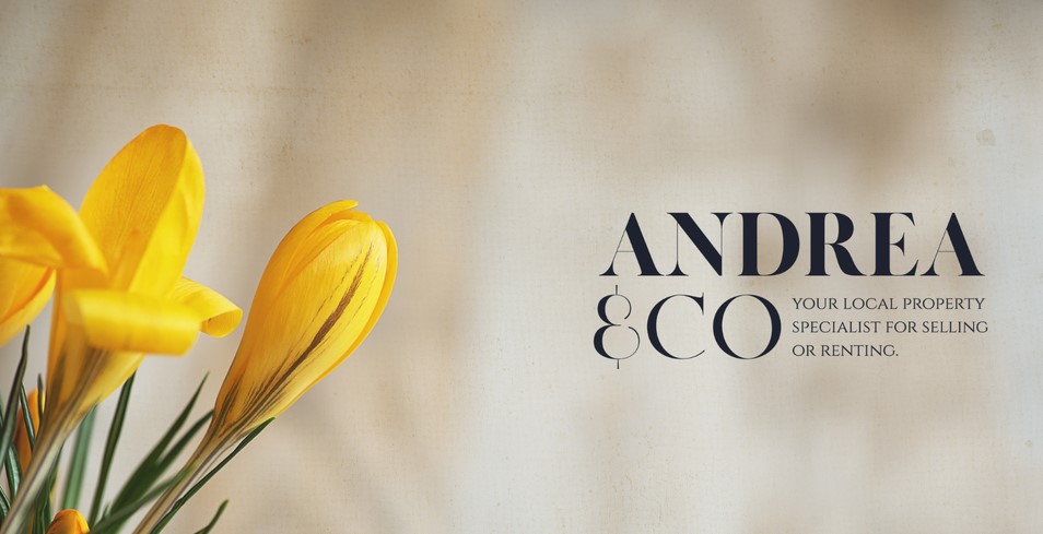 Andrea Co Cover Image