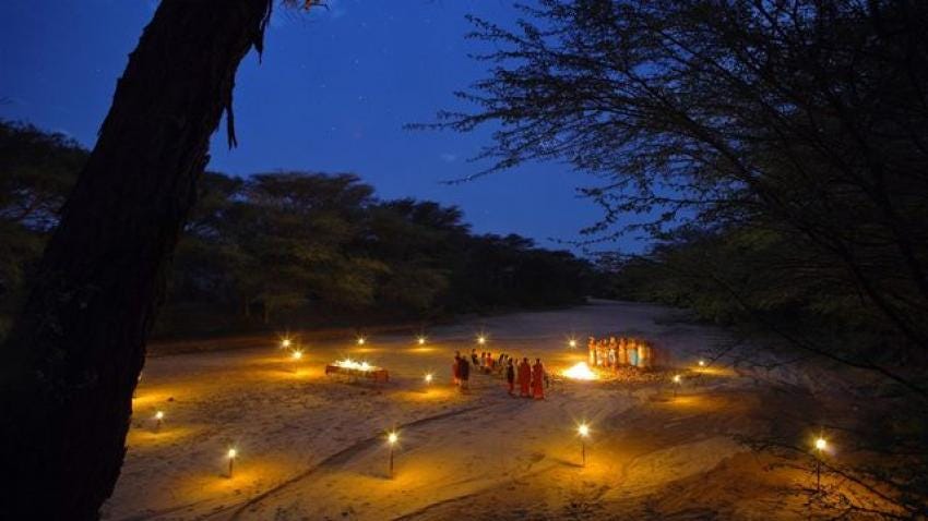 Witness the wildness luxury at Masai Mara | by Venchatravel | Apr, 2024 | Medium