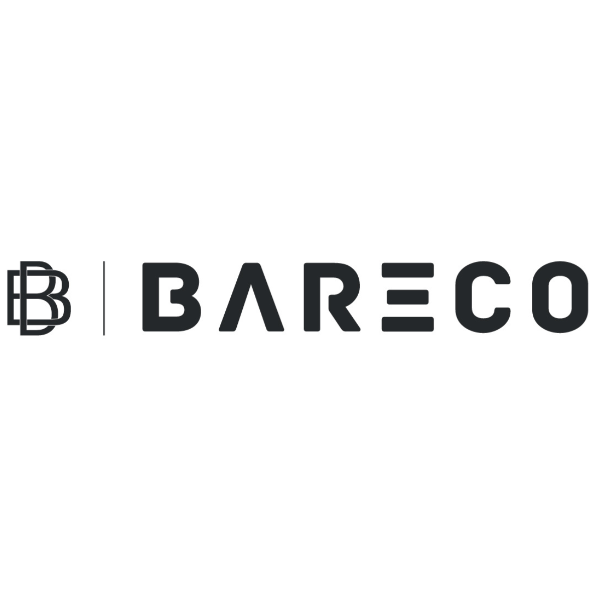 BARECO | Business, Management & Leadership Consulting Firm in India