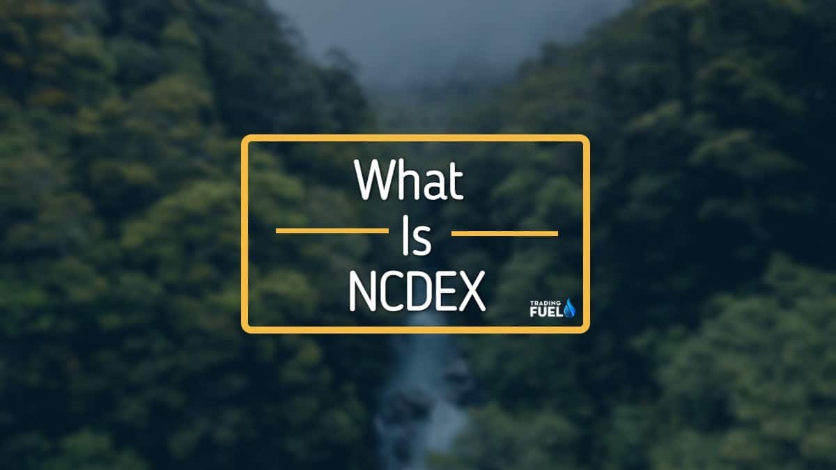 What is NCDEX in India? - NCDEX Live 24 Rate Link