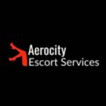Escort Service in Aerocity Profile Picture