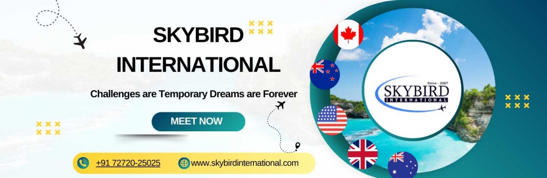 Skybird International Cover Image