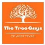 The Tress Guys Of WTX Profile Picture