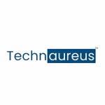 Technaureus info solution marketing Profile Picture