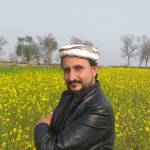 Shloombie Qurat Profile Picture