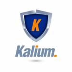 Kalium Solutions Profile Picture