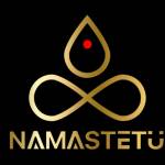 Namastetu Technology Profile Picture