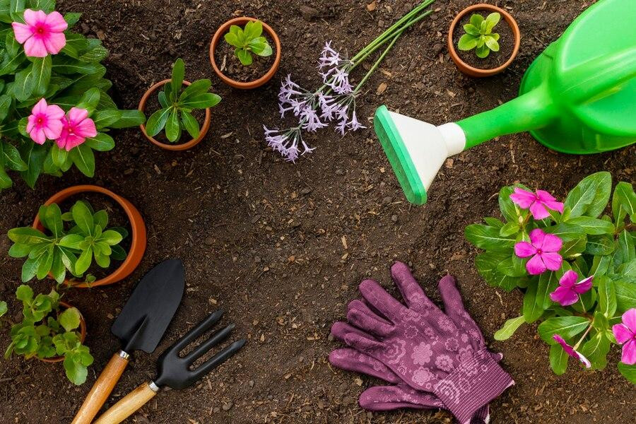 When is the best time to plant a garden?