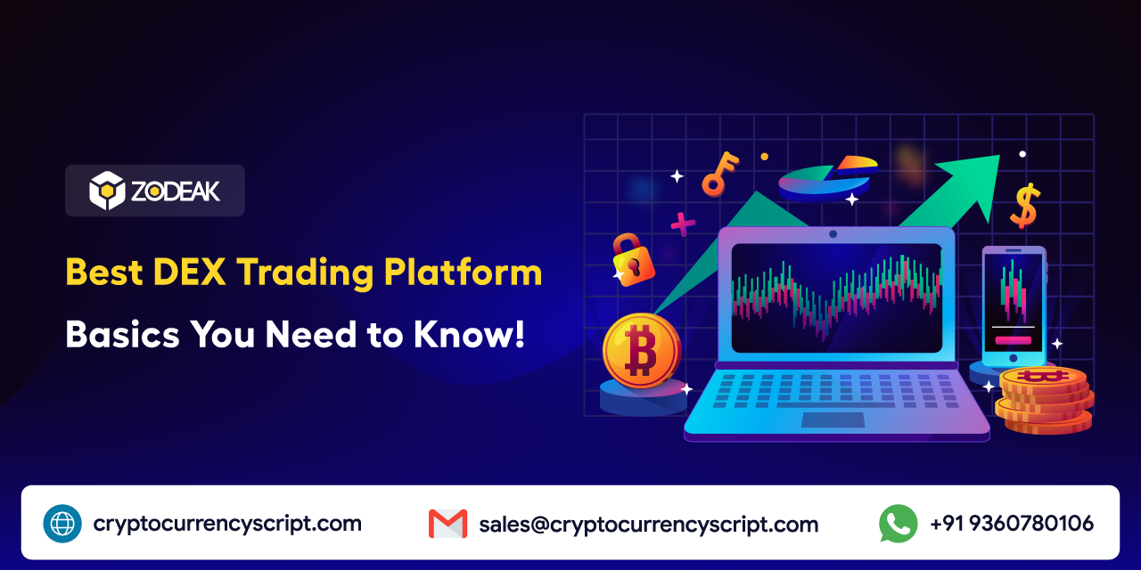 Best DEX Trading Platform: Basics You Need to Know!