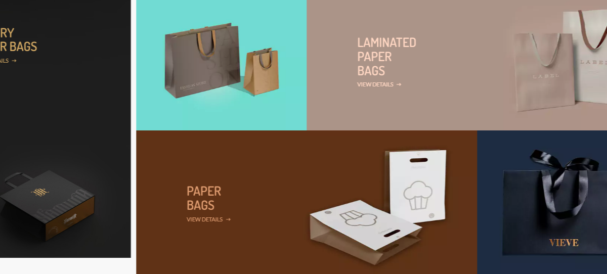 Luxury Paper Bags Printed with Logo: Get Best Shopping Experience with Branding