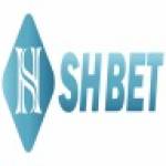 shbetb1com Profile Picture