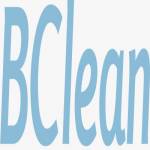 Bcleandetail Profile Picture