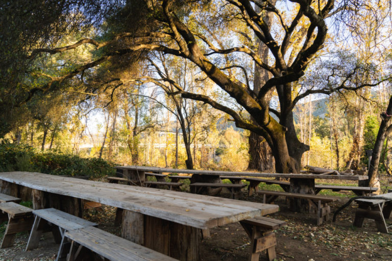 The Best Family Activities in Apple Hill, CA | TheAmberPost
