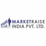 marketraise india Profile Picture