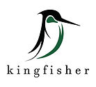 Kingfisher Growth Strategies | Business Consulting, United States