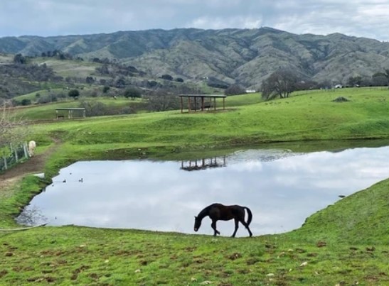 California Horse Boarding: Find Pasture & Ranch Near You | TechPlanet