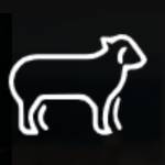 Little Lamb Restaurant Profile Picture