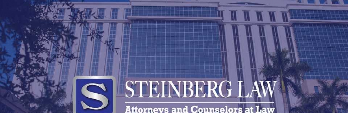 Brett Steinberg Law Cover Image