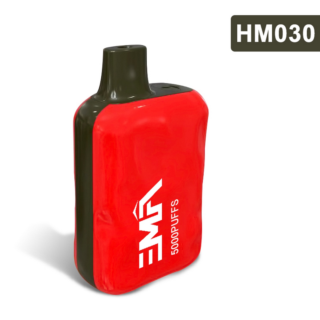 Box-style Disposable Vape 450mAh 5000puffs-HM030