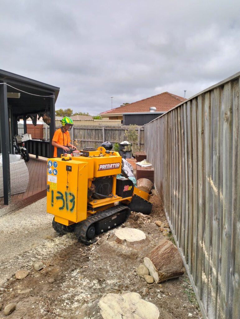 Your Stump Solution Experts In Geelong