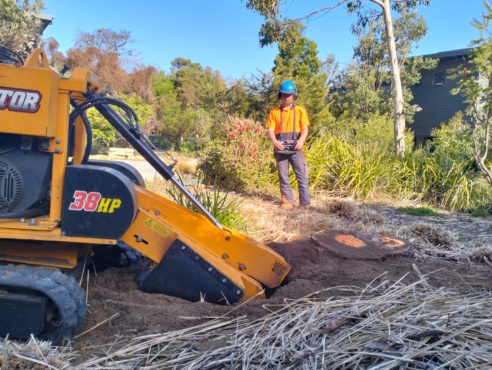 Find the Best Stump Removal in Geelong