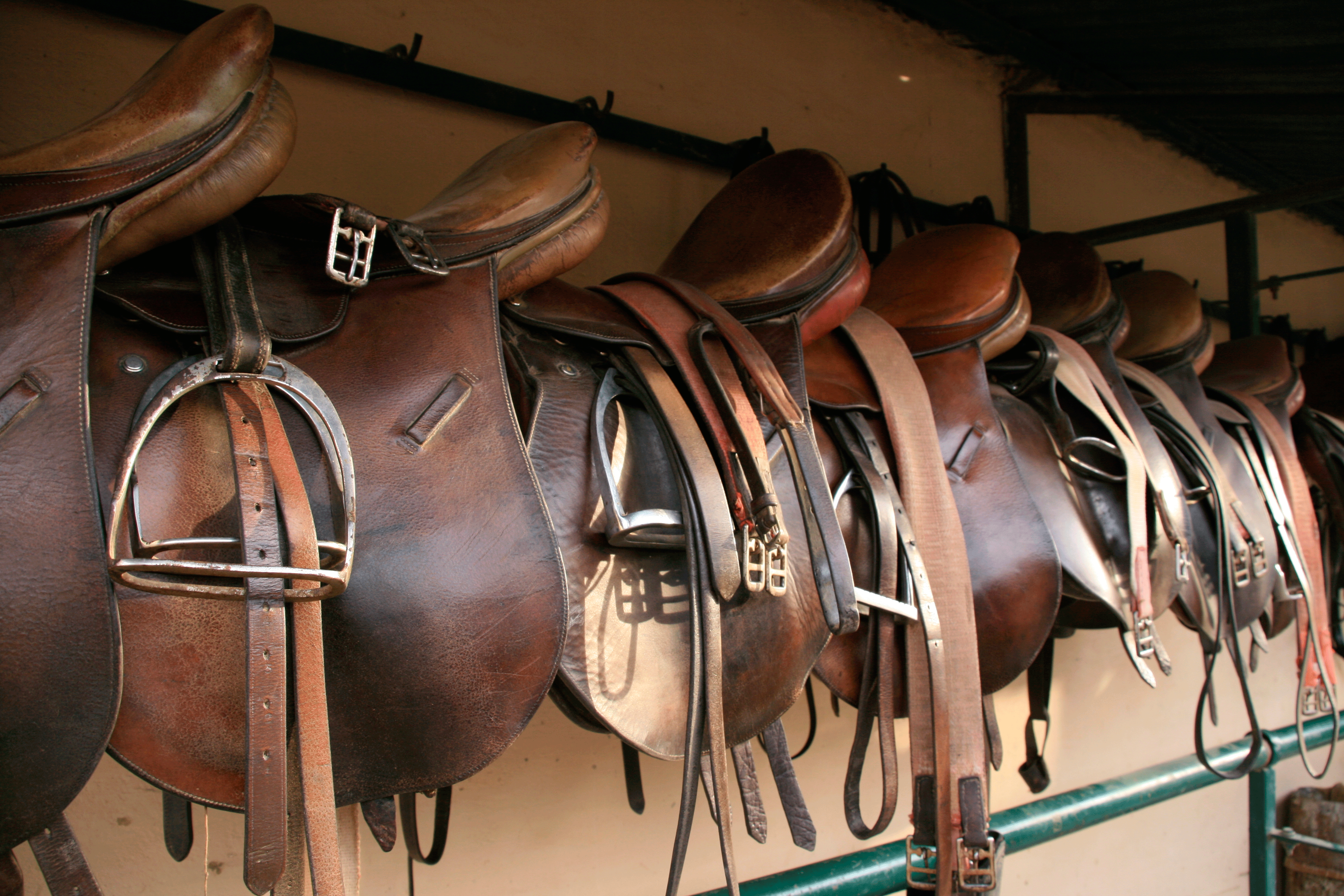 American Horse Products Cover Image