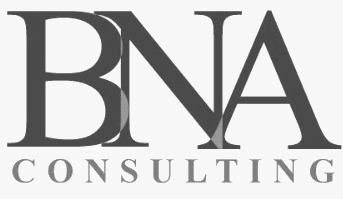 BNA Consulting Cover Image