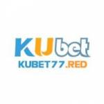 kubet77red Profile Picture