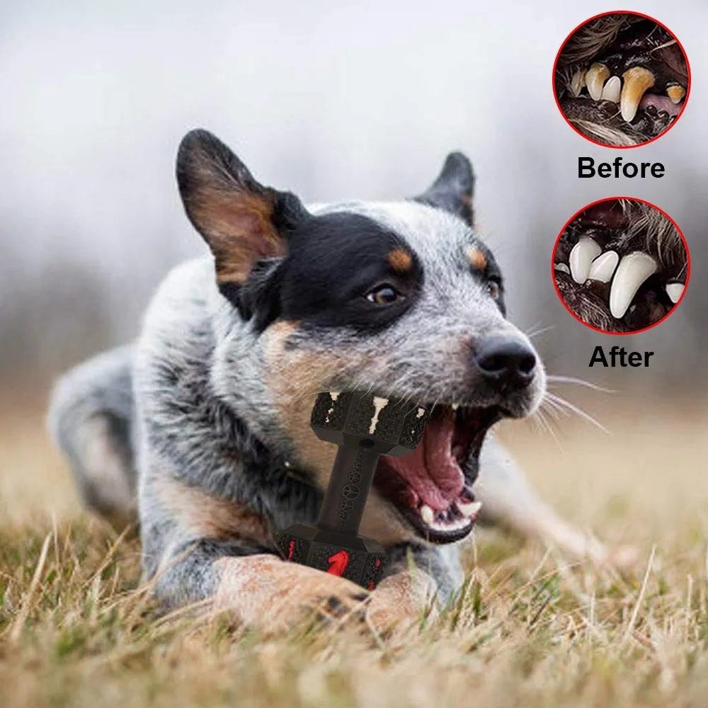 Why should you buy Indestructible Dog Toys for Your Furry Friend? | by Petbuds | Jun, 2024 | Medium