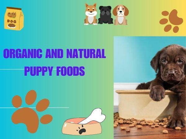 Organic and Natural Puppy Foods