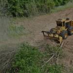 fortworthlandclearing Profile Picture