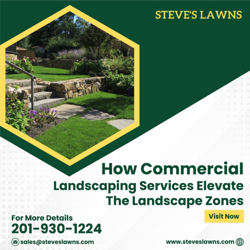 How Commercial Landscaping Services Elevate the Landscape Zones: ext_6464347 — LiveJournal