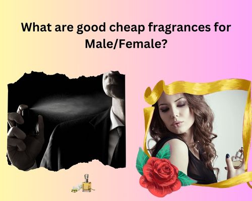 Affordable Perfume Brands for Men & Women