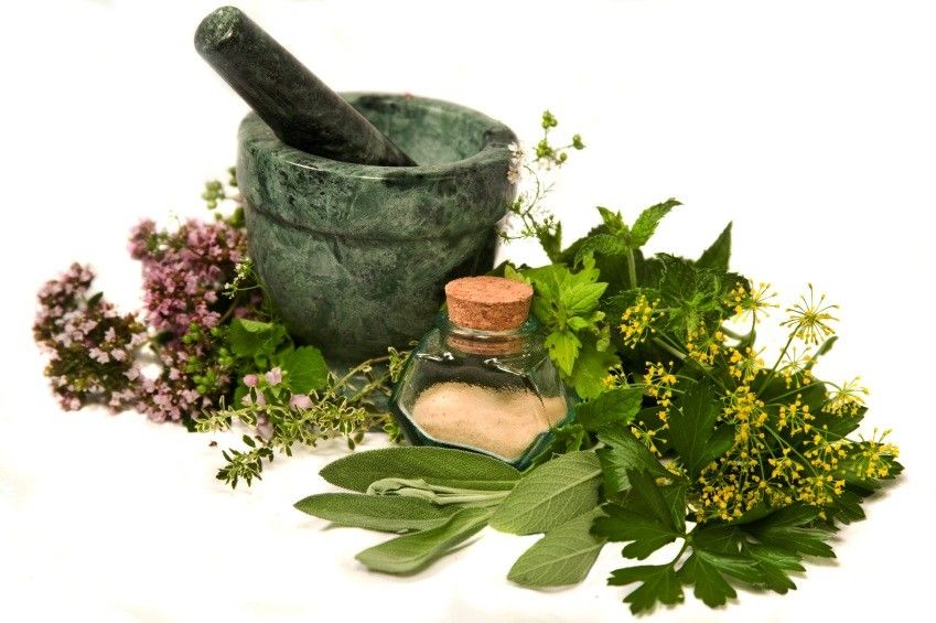 Top 7 Proven Ayurvedic Herbs to Cure Procidentia - prolapserectum