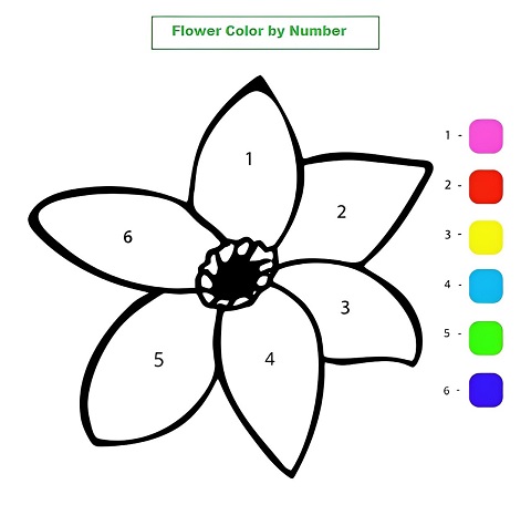 Flower Color by Number Coloring Pages Free Online For Kids!