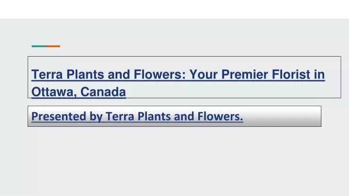 PPT - Terra Plants and Flowers: Your Premier Florist in Ottawa, Canada PowerPoint Presentation - ID:13291662
