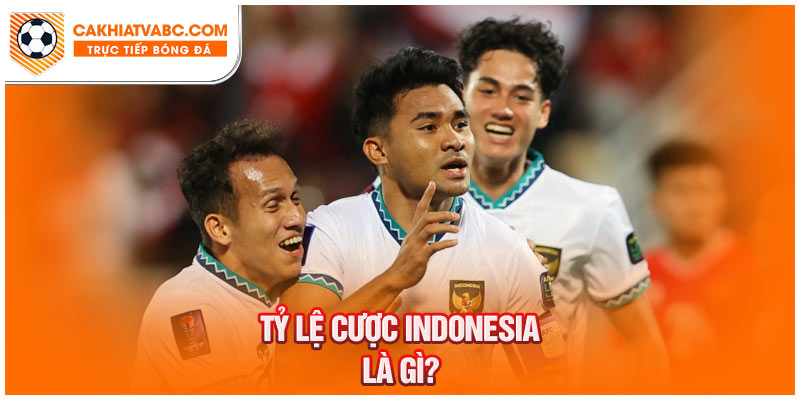 Cách chơi Tỷ lệ cược Indonesia chuẩn từ chuyên gia bóng đá